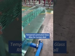 Pareti di cortina facciata costole di vetro laminato temperato